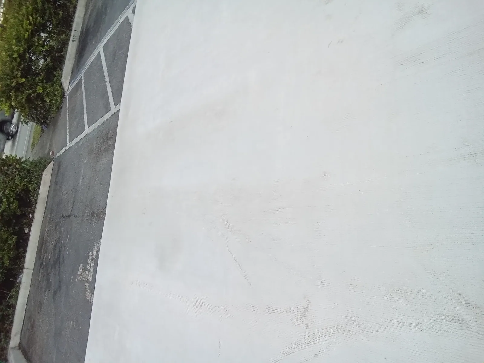 A plain cream rug opened out on the ground, photographed at our plant for Pinecrest
